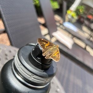 Meet your Posher, Tierra